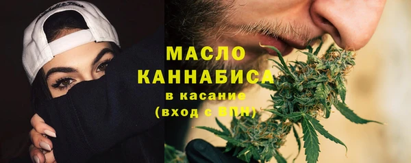 шишки Корсаков