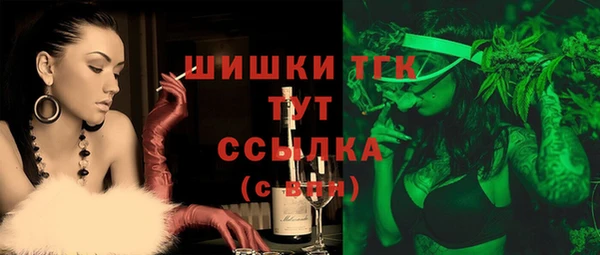 шишки Корсаков