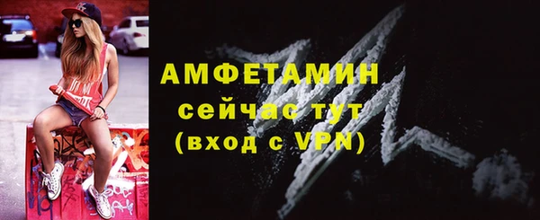 шишки Корсаков