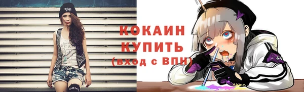 гидра Краснослободск