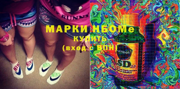 шишки Корсаков