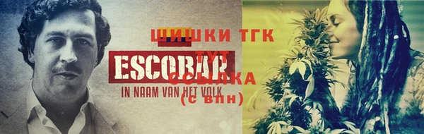 шишки Корсаков