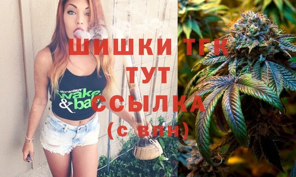 шишки Корсаков