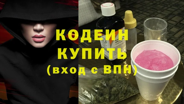 шишки Корсаков