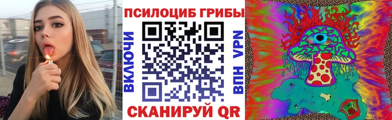 Купить  Лермонтов  Галлюциногенные грибы Cubensis 
